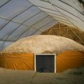fhalf finished mycelium-earth-yurt in the greenhouse