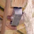 Treehouse attachment bolts w growth alowance