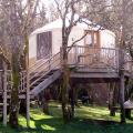 yurt tree house gust refuge
