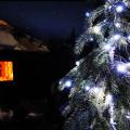 Solar Christmas Lights on the little tree outside the yurt.