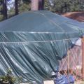 I've covered it with a 30x50ft tarp until I could afford to buy the Solex insulated greenhouse panels to cover it with. My plan is to get my tilapia...