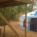 Dragon Yurt II