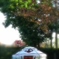 GMYC yurts